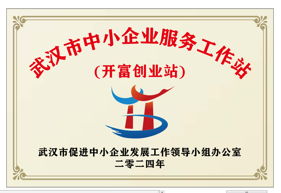 2024年被授予武汉市中小企业服务工作站